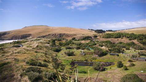 Penguin Place Dunedin: Otago Peninsula With Guided Penguin Tour