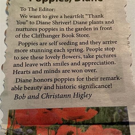 CLIFFHANGER USED BOOKS (2025) All You Need to Know BEFORE You Go (with ...