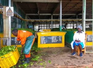 Improving the Energy Supply for Ugandan Tea factories - energypedia