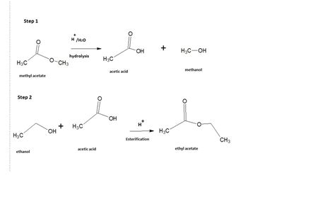 How will you convert methyl acetate into ethyl acetate - Brainly.in