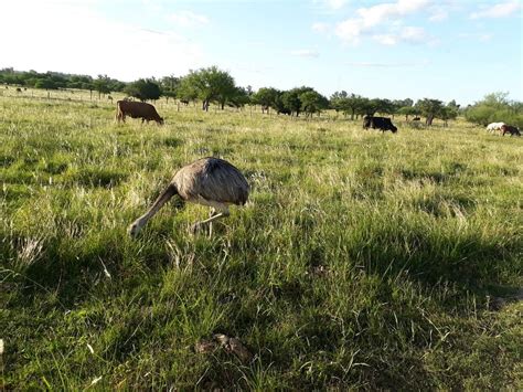 TRANQUERAS DE COLON (Entre Rios) - Campground Reviews & Photos ...