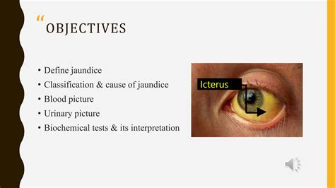 Competency Physiology, jaundice-sign symptom, investigation.pptx