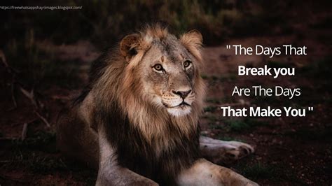 25+ Motivational Lion Pictures Quotes - Brave Lion Quotes