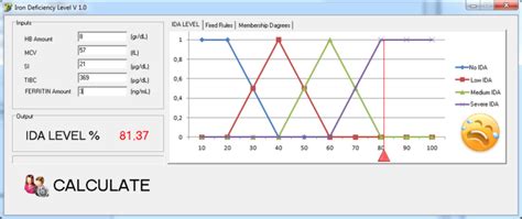 Application Program Interface Example 的图像结果