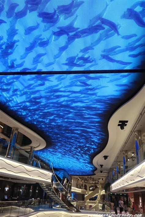 World Europe 的图像结果