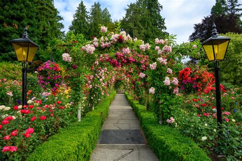 Rose Garden - The Butchart Gardens