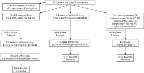 Bronchiectasis: Treatment decisions for pulmonary exacerbations and their prevention - Bell ...