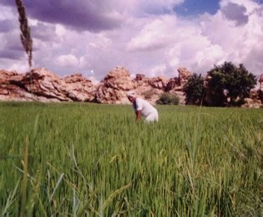 contact us | rural relations