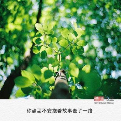 励志植物头像图片大全集 - 【花卉百科网】