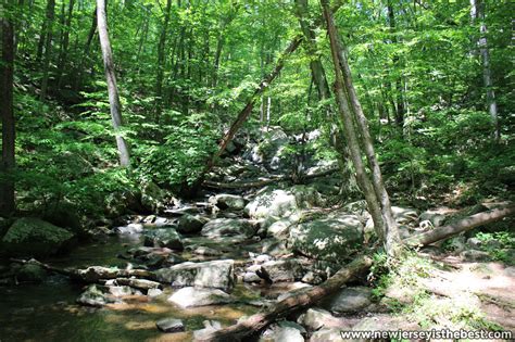 Black River at Hacklebarney State Park – New Jersey is the Best
