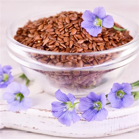 12 Masa Harina Substitutes (+ Best Alternatives) - Insanely Good