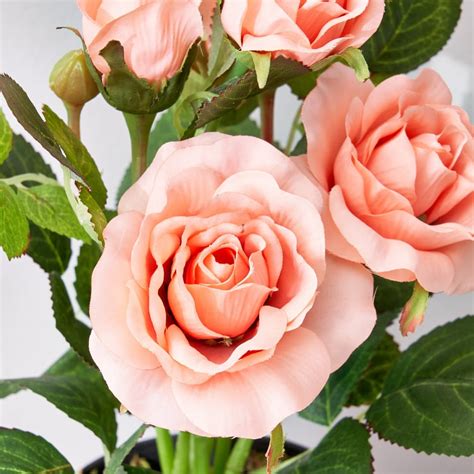 Buy Corsica Artificial Rose Plant in Pot from Corsica by Home Centre at ...