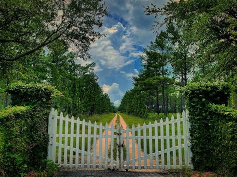 Country Roads 的图像结果