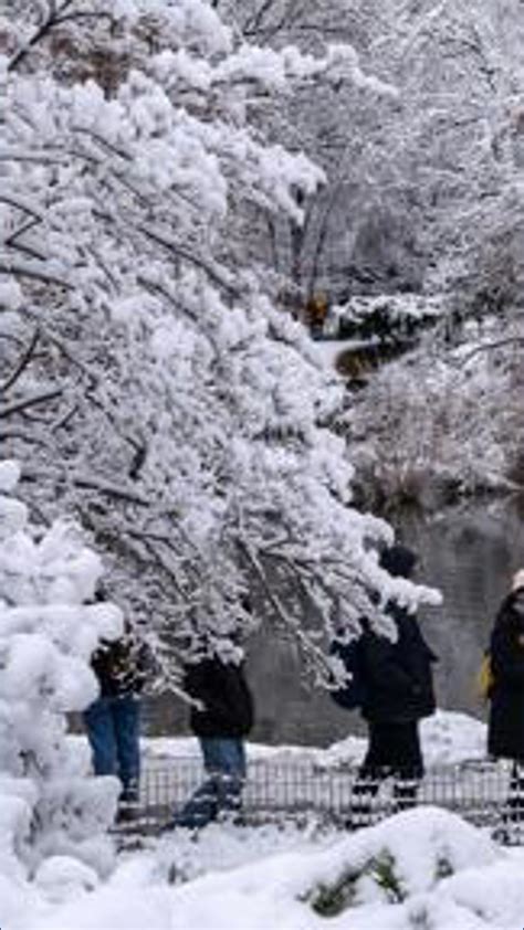 NCDMV to reopen Mooresville license plate agency | wcnc.com