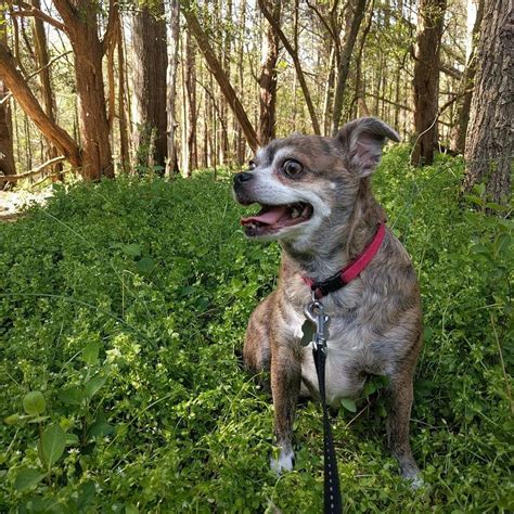 William R. Davie Park - 4635 Pineville-Matthews Rd, Charlotte, NC 28226 ...