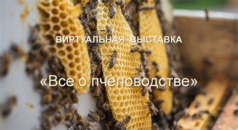 Все о пчеловодстве