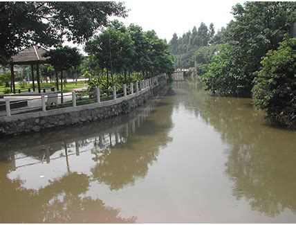 河涌整治情况-社会责任-广州市净水有限公司