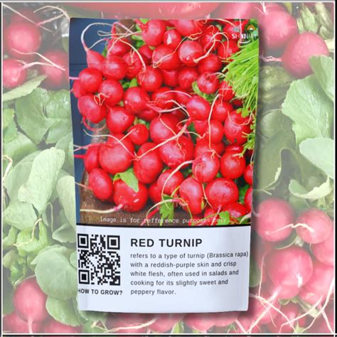 Red Turnip Vegetable Seeds for Gardening - Shalgam - Vegetable Seeds ...