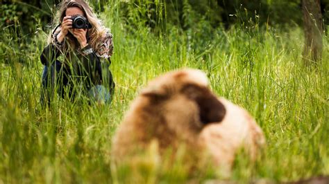 Lente RF 85mm f/2 Macro IS STM | Loja Canon