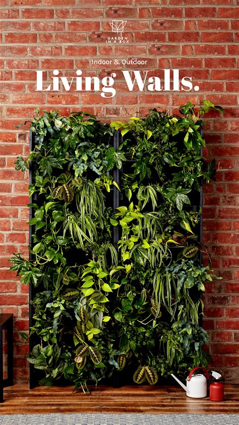 Living Plant Wall