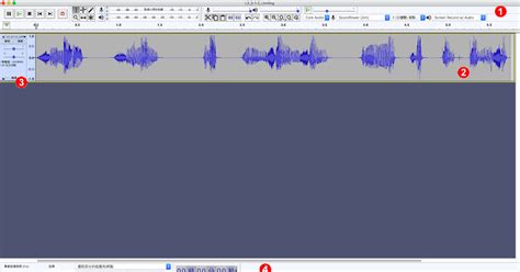 Audacity Code Python 的图像结果
