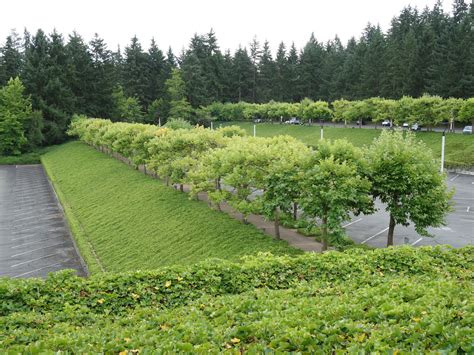 Landscape Map 的图像结果