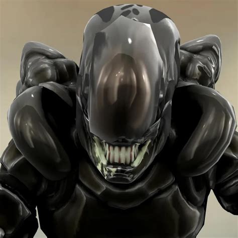 Alien AVP Mahalo 的图像结果