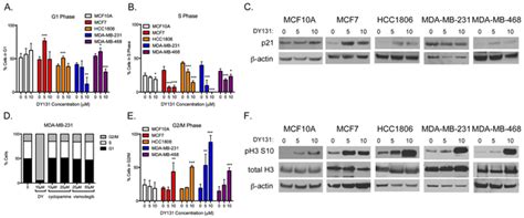 Antimitotic activity of DY131 and the estrogen-related receptor beta 2 ...