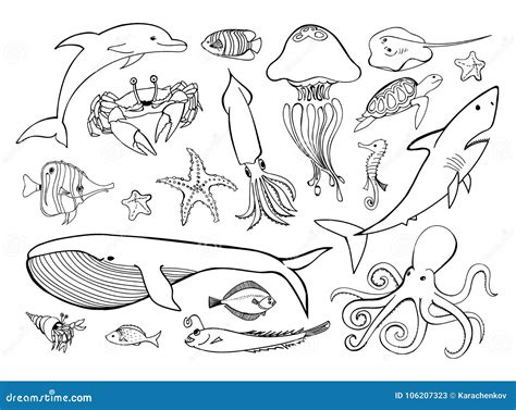 Sea Animals Drawings