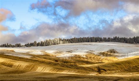 Additional Services - Latah Credit Union