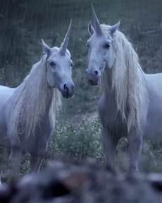 why don t we unicorns today this ballsy explains why unicorns don t exist why don t we unicorns today this ballsy explains why unicorns don t exist