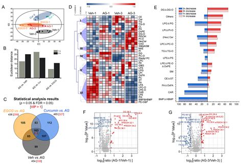 Anti-Allergic Effect of Dietary Polyphenols Curcumin and ...
