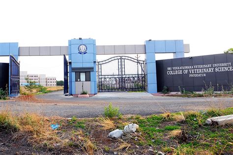 Sri Venkateswara Veterinary University Tirupati Campus: Photos, Virtual ...