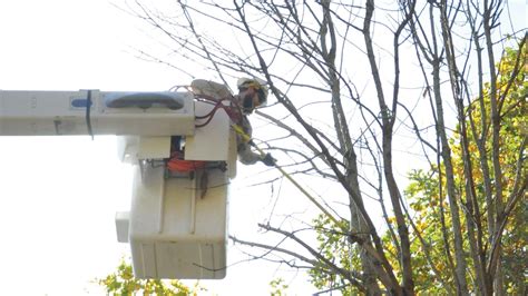 Vegetation efforts continue - Indiana Connection