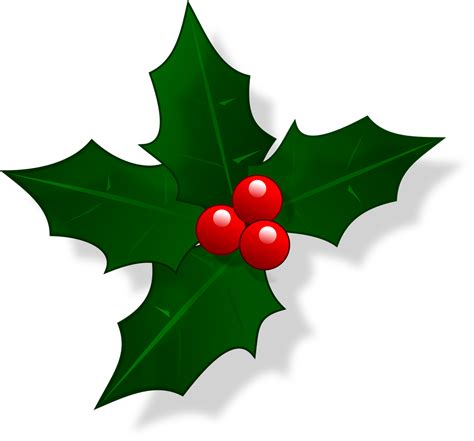 Free holly pictures clip art, Download Free holly pictures clip art png ...