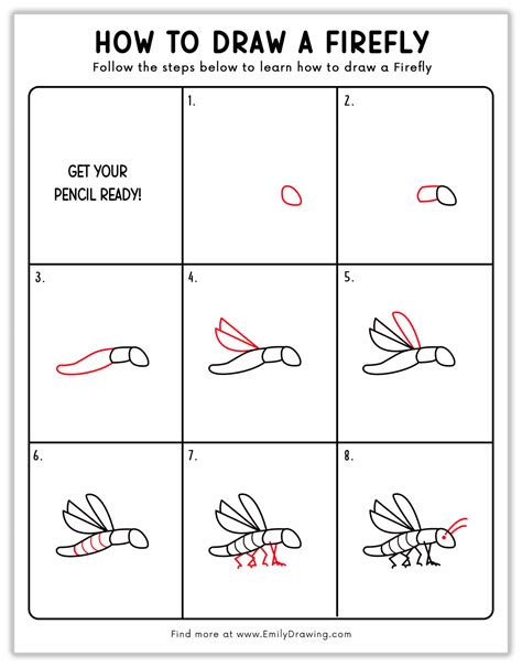 How to Draw a Firefly - Emily Drawing