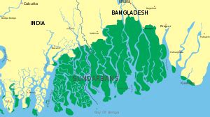 How is Sundarban Delta Formed | Sundarban Delta | Sundarban Vives