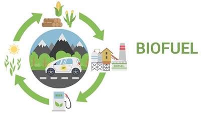 BIOFUELS | IAS GYAN