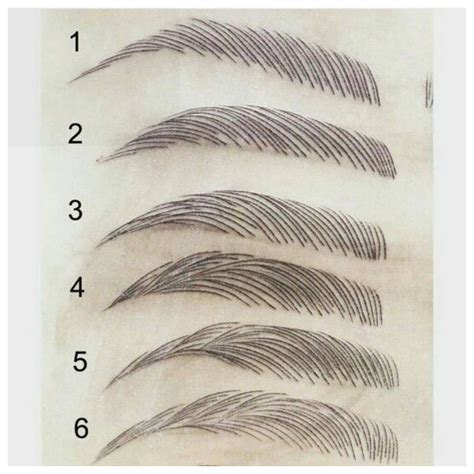 Image result for Microblading Hair Stroke Patterns
