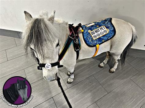 Flirty The Mini Service Horse | There was a fundraiser for @team_hetra ...