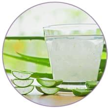 Buy WOW Skin Science Aloe Vera Body Lotion - Ultra Light Hydration - No ...