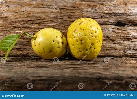 Yellow Guava Fruits Isolated on Aged Wooden Background Stock Photo ...