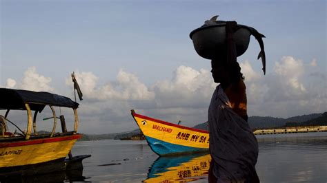 Panticora Local People 的图像结果