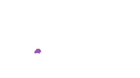 Accurate Nevus Shapes - Dataset Ninja