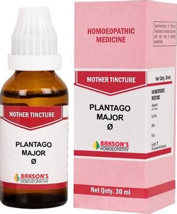 Bakson's Homoeopathy Plantago Major Q Mother Tincture Price in India ...