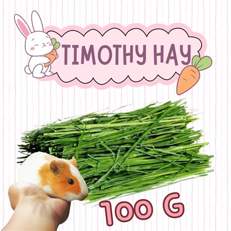 TIMOTHY HAY 100g Rabbit / Guinea pig Jerami Timothy Hay/Premium dried ...