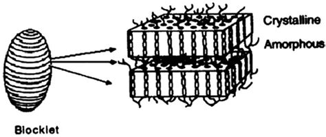 Application of the Molecular Combing Technique to Starch Granules