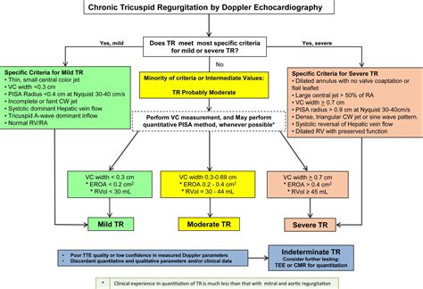Tricuspid Regurgitation – Cardio Guide