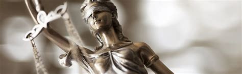 Declaratory Judgment 的图像结果