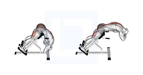 Image result for Back Extension Exercise Instructions
